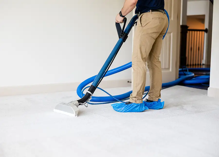 Ellis Janitorial Services - Carpet Cleaning services - Metro East MO